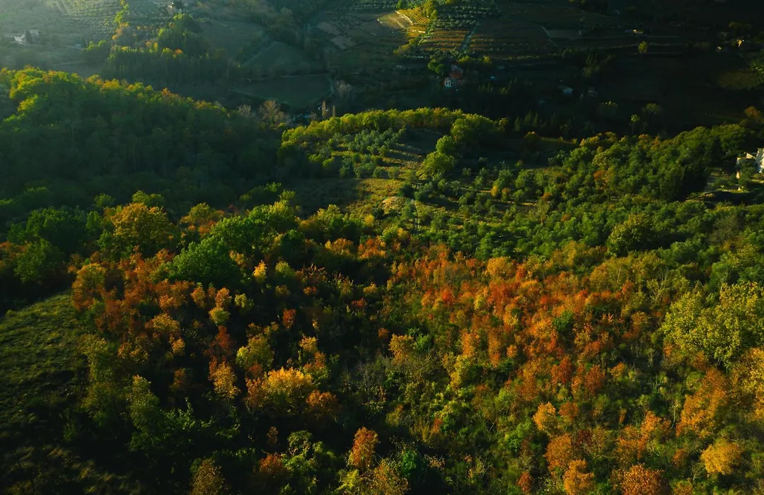 Terre Di Baccio-1